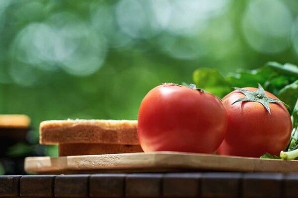 ⓒ게티이미지뱅크(토마토)