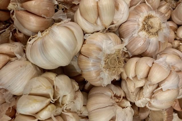 ⓒ게티이미지뱅크(마늘)