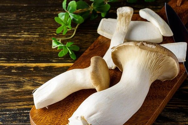 ⓒ게티이미지뱅크(새송이버섯)