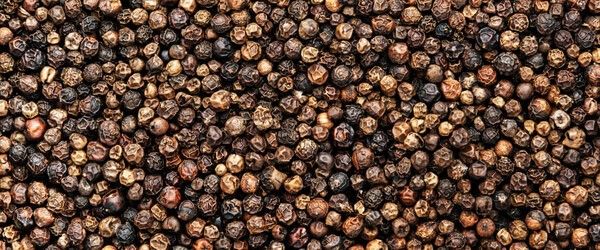 ⓒ게티이미지뱅크(후추)