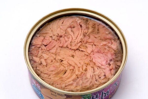 ⓒ게티이미지뱅크(참치캔)