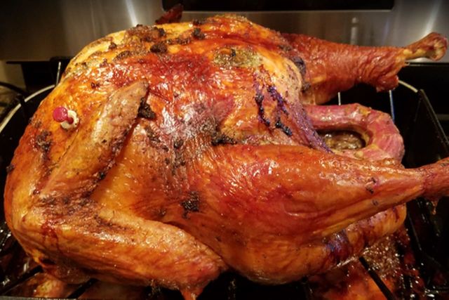 ⓒ게티이미지뱅크(칠면조)