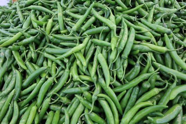 ⓒ게티이미지뱅크(고추)