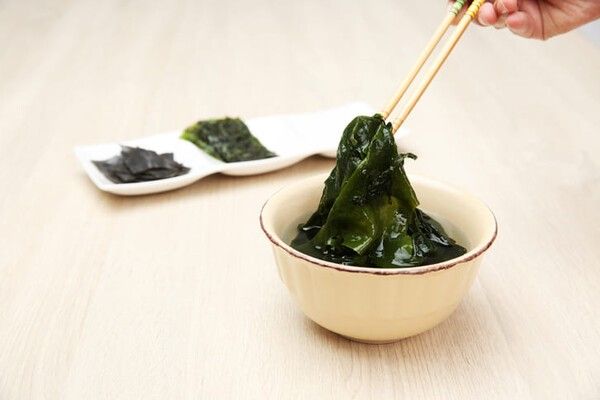 ⓒ게티이미지뱅크(해조류)