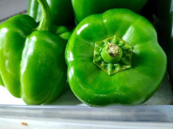 ⓒ게티이미지뱅크(피망)