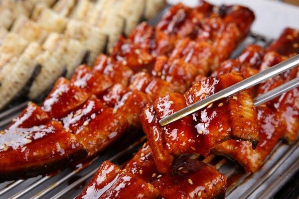 ⓒ게티이미지뱅크(장어)