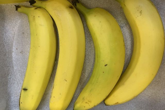 ⓒ게티이미지뱅크(바나나)