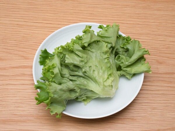 ⓒ게티이미지뱅크(상추)