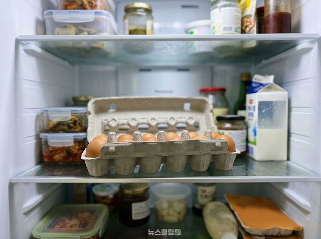 계란 / 사진=뉴스클립