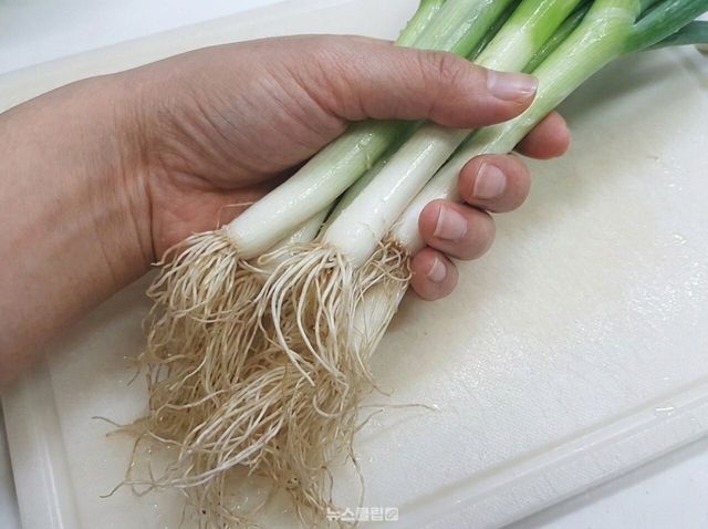 대파 뿌리 육수 / 사진=뉴스클립