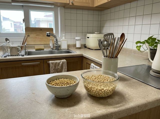 콩국수 / 사진=뉴스클립