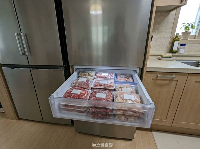 냉동 고기 / 기사 이해를 돕기 위한 Ai 이미지