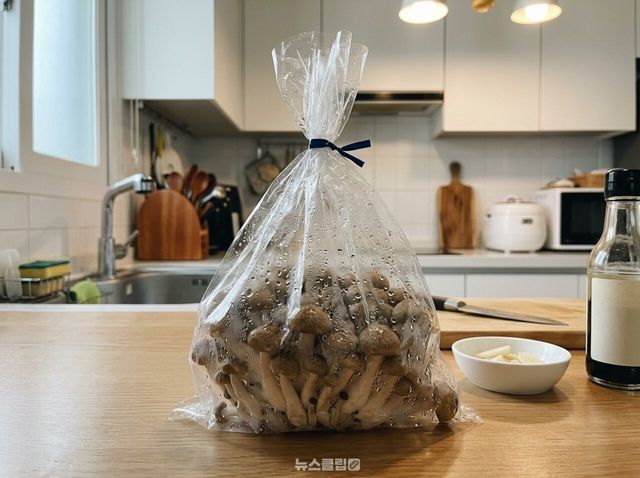 버섯 보관 방법 / 기사 이해를 돕기 위한 AI 이미지