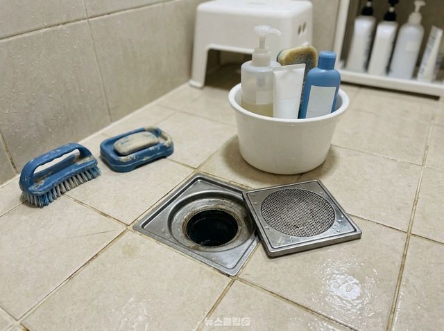 모기 / 기사 이해를 돕기 위한 AI 이미지