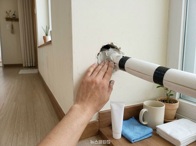 모기 / 기사 이해를 돕기 위한 AI 이미지