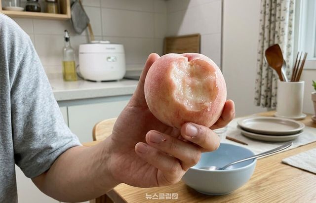 복숭아 백도 황도 / 기사 이해를 돕기 위한 AI 이미지
