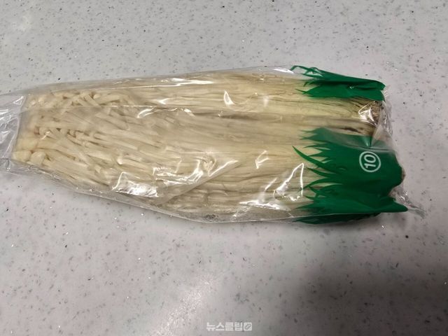 팽이버섯 / 뉴스클립