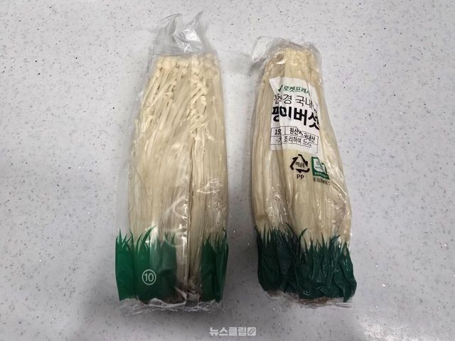 팽이버섯 / 뉴스클립