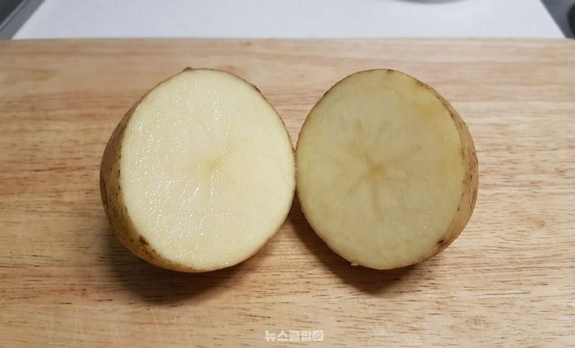 유리창 감자 발수 코팅 / 기사 이해를 돕기 위한 AI 이미지
