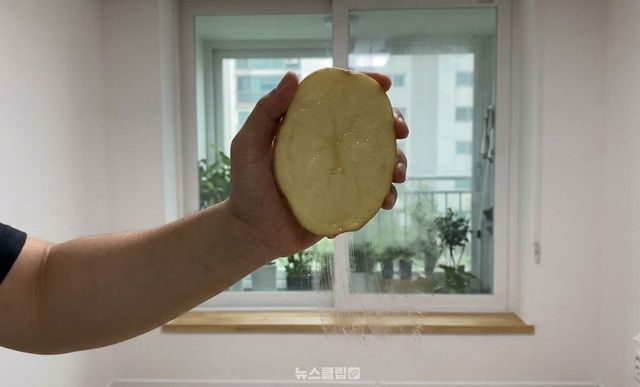 유리창 감자 발수 코팅 / 기사 이해를 돕기 위한 AI 이미지