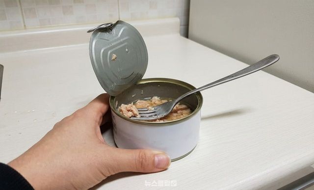 남은 통조림 보관법 / 기사 이해를 돕기 위한 AI 이미지