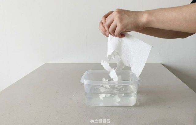 밀폐용기 키친타올 설거지 / 기사 이해를 돕기 위한 AI 이미지