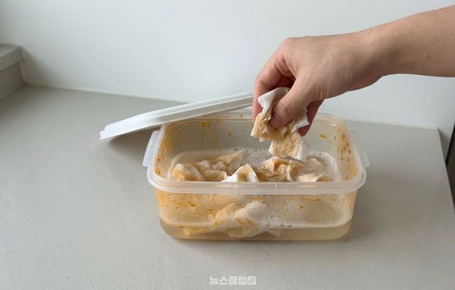 밀폐용기 키친타올 설거지 / 기사 이해를 돕기 위한 AI 이미지