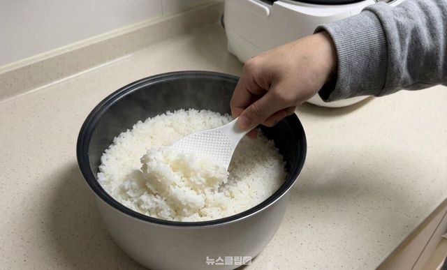 밥 짓기 / 기사 이해를 돕기 위한 AI 이미지