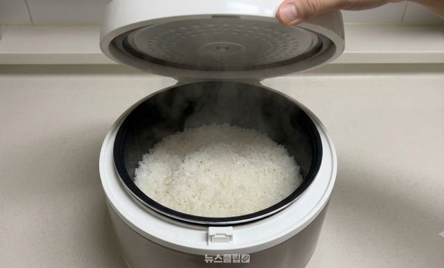 밥 짓기 / 기사 이해를 돕기 위한 AI 이미지