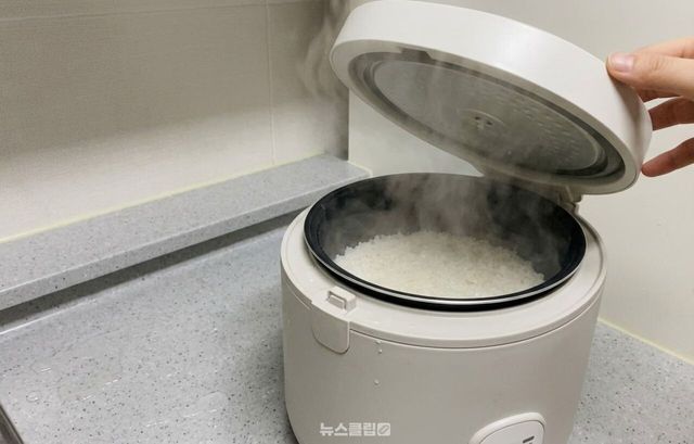밥 짓기 / 기사 이해를 돕기 위한 AI 이미지
