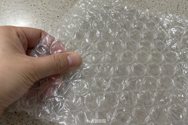 뽁뽁이의 독립된 공기층과 오돌토돌한 돌기 표면. / 기사 이해를 돕기 위한 생성형 이미지
