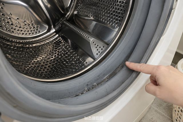 세제 찌꺼기가 남기 쉬운 세탁조 벽과 고무 패킹 홈을 가까이에서 본 모습 / 기사 이해를 돕기 위한 생성형 이미지