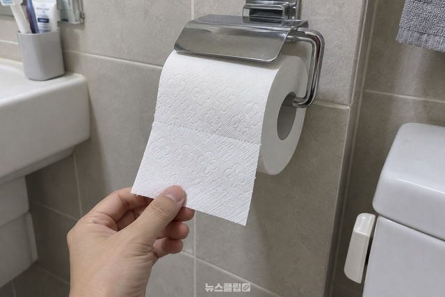 앞에 나온 휴지 끝을 손으로 잡는 모습 / 기사 이해를 돕기 위한 생성형 이미지