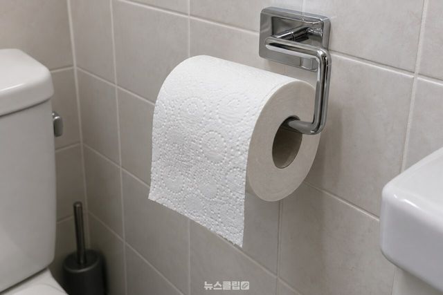 앞쪽으로 휴지 끝이 내려온 욕실 두루마리 / 기사 이해를 돕기 위한 생성형 이미지
