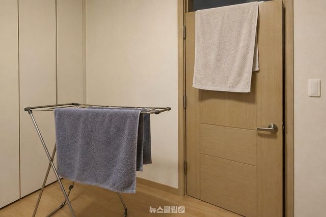 두 장을 겹치지 말고 따로 널어 앞뒤 면이 공기에 닿게 한다. / 기사 이해를 돕기 위한 생성형 이미지