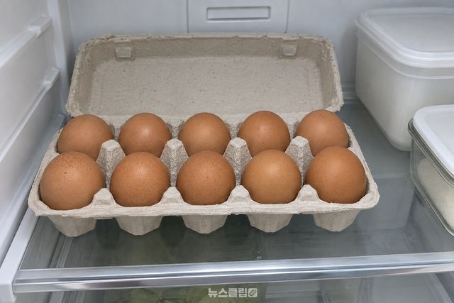계란 열 개들이 종이 팩을 뾰족한 쪽이 아래로 가게 담아 냉장실 안쪽 선반에 밀어 넣은 모습. / 기사 이해를 돕기 위한 생성형 이미지