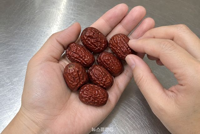 손바닥에 올린 대추를 굴려 표면이 보송한지, 알끼리 붙지는 않는지 확인하는 모습. / 기사 이해를 돕기 위한 생성형 이미지