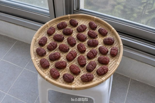 베란다 그늘에 둔 채반 위, 대추가 서로 겹치지 않게 한 겹으로 펴져 있다. / 기사 이해를 돕기 위한 생성형 이미지