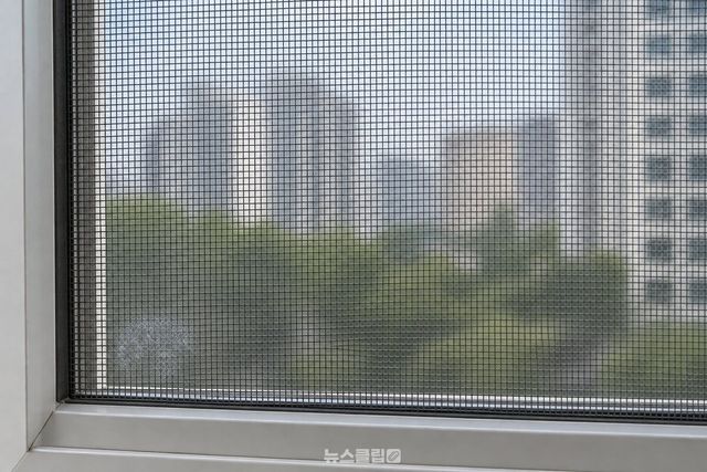 방충망 격자를 가까이서 본 모습으로, 아래쪽 구석 몇 칸에만 옅은 회색 기가 비치고 나머지 망은 깨끗하다. / 기사 이해를 돕기 위한 생성형 이미지