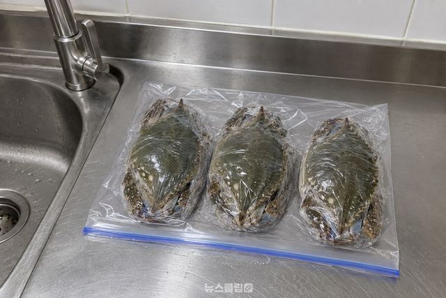 손질해 물기를 닦은 생물 꽃게를 한 마리씩 랩으로 감싸 지퍼백에 나란히 담은 모습. / 기사 이해를 돕기 위한 생성형 이미지