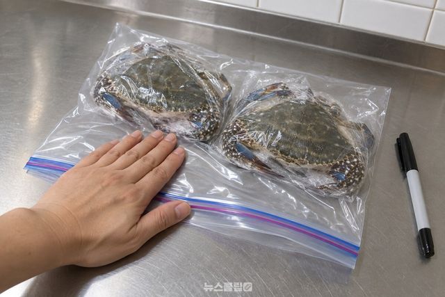 랩으로 감싼 꽃게를 담은 지퍼백의 공기를 손바닥으로 눌러 빼는 모습. / 기사 이해를 돕기 위한 생성형 이미지