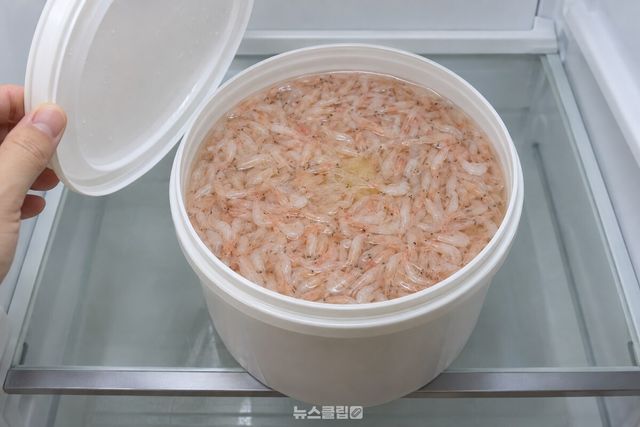 몇 달째 냉장실에 둔 새우젓 통의 뚜껑을 연 모습으로, 가운데 한 부분만 색이 옅게 누렇다. / 기사 이해를 돕기 위한 생성형 이미지