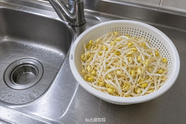 씻어 건진 콩나물을 채반에 담아 두었고, 머리는 노랗고 줄기는 통통하다. / 기사 이해를 돕기 위한 생성형 이미지