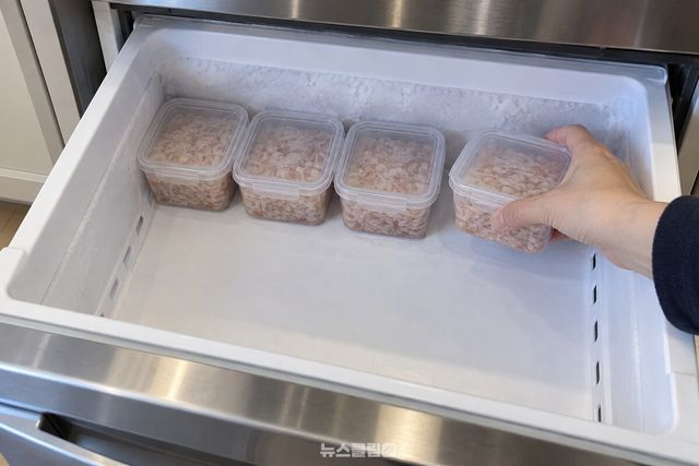 냉동실 서랍 안쪽 깊은 자리에 소분한 새우젓 용기를 나란히 넣고 있다. / 기사 이해를 돕기 위한 생성형 이미지