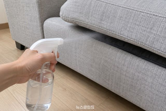 소파 쿠션 아래쪽 천에 분무기를 20~30cm 떨어뜨려 가볍게 뿌리는 모습 / 기사 이해를 돕기 위한 생성형 이미지