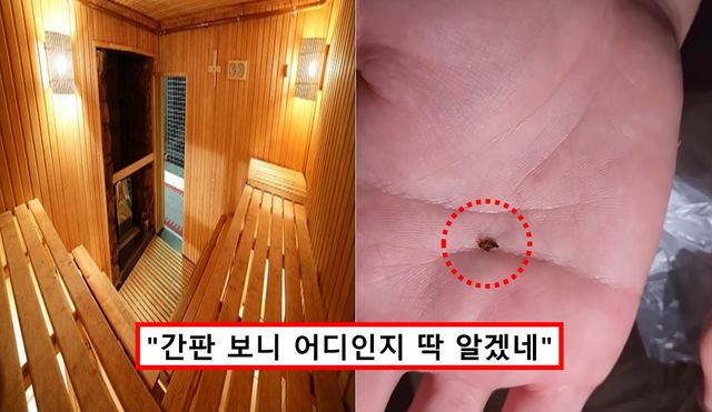 인천 빈대 사우나