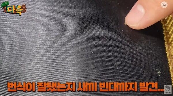 인천 빈대 사우나