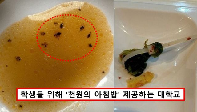 학식에서 케이블타이, 벌레 등 이물질 나온 대학교 / 사진=온라인 커뮤니티