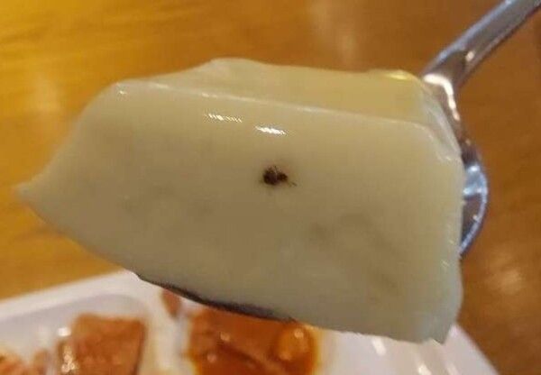 학식에서 케이블타이, 벌레 등 이물질 나온 대학교 / 사진=온라인 커뮤니티