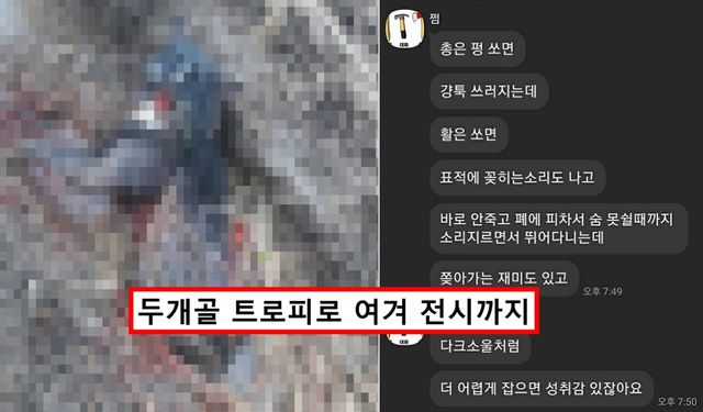 고양이 화살